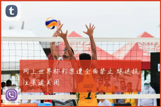 网上世界杯彩票遭全面禁止 球迷投注渠道关闭