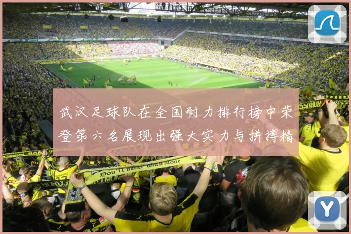 武汉足球队在全国耐力排行榜中荣登第六名展现出强大实力与拼搏精神
