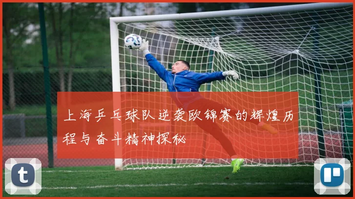 上海乒乓球队逆袭欧锦赛的辉煌历程与奋斗精神探秘