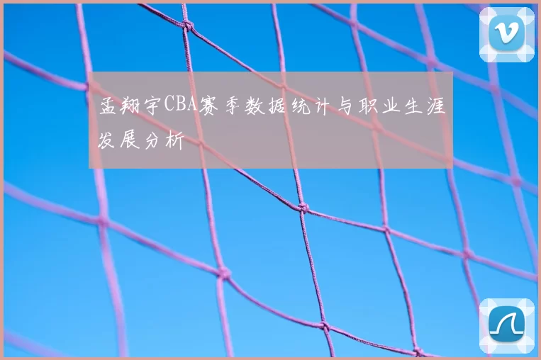 孟翔宇CBA赛季数据统计与职业生涯发展分析