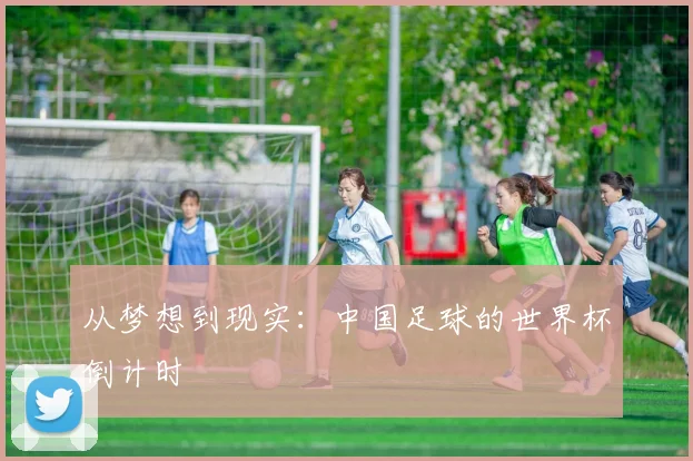 从梦想到现实：中国足球的世界杯倒计时