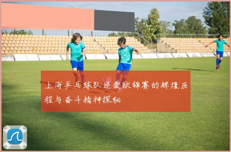 上海乒乓球队逆袭欧锦赛的辉煌历程与奋斗精神探秘