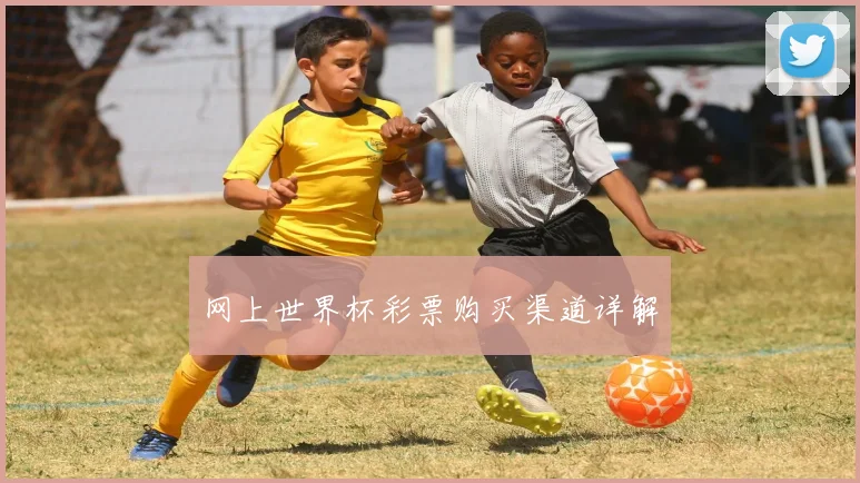 网上世界杯彩票购买渠道详解