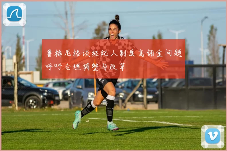 鲁梅尼格谈经纪人制度高佣金问题呼吁合理调整与改革