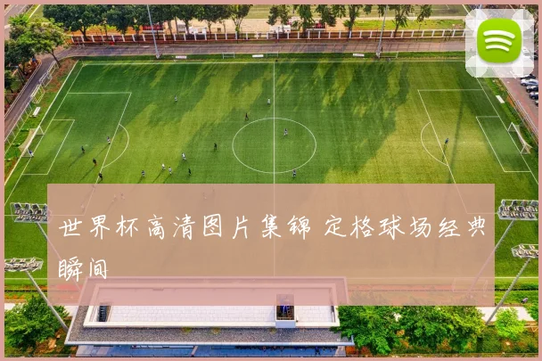 世界杯高清图片集锦 定格球场经典瞬间