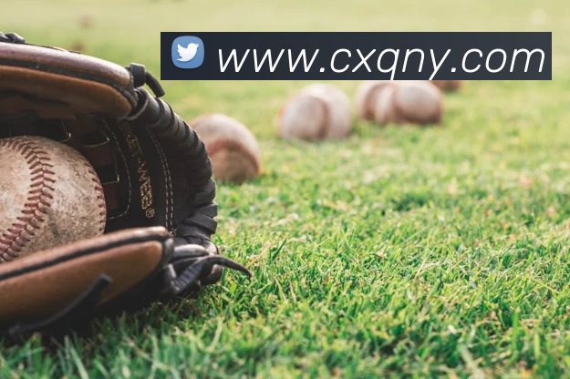 爱游戏官网APP 封面图